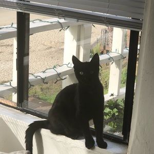 Meet your Posher, Terry